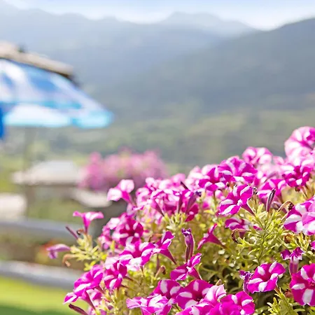 公寓 Casa Sabrina - Bianco 奥斯塔