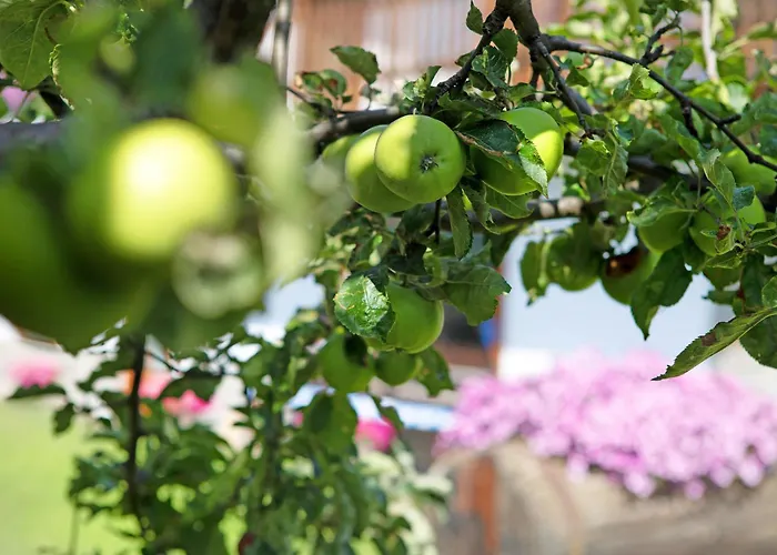 Appartamento Casa Sabrina - Bianco *